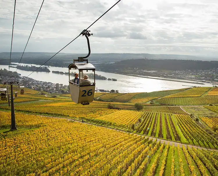 Rhine river gondola