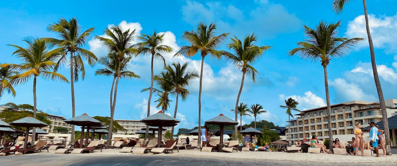 a beach with palm trees and people sitting under umbrellas