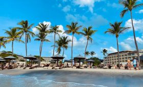 a beach with palm trees and people sitting under umbrellas
