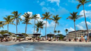 a beach with palm trees and people sitting under umbrellas