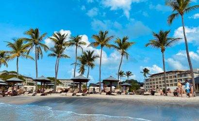 a beach with palm trees and people sitting under umbrellas